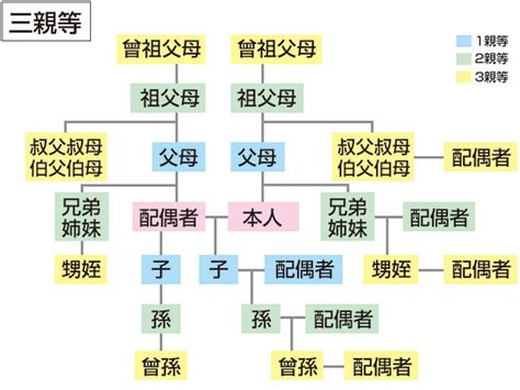 三等親是指